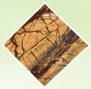 designer building stones